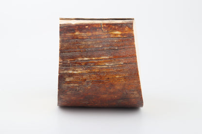 Natural mammoth ivory piece
