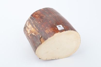 Natural mammoth ivory piece