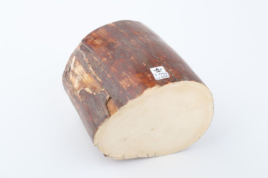 Natural mammoth ivory piece