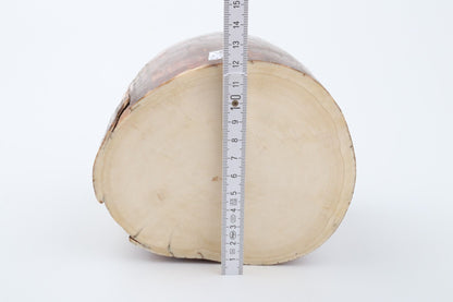 Natural mammoth ivory piece