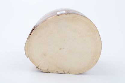 Natural mammoth ivory piece