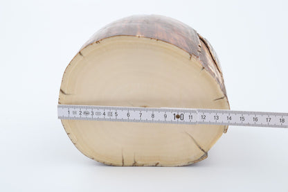 Natural mammoth ivory piece