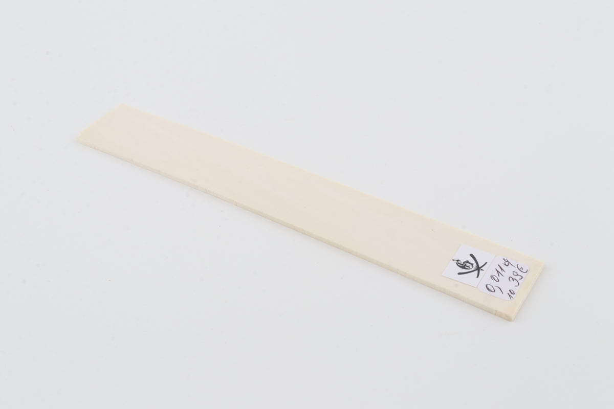 White mammoth ivory segment
