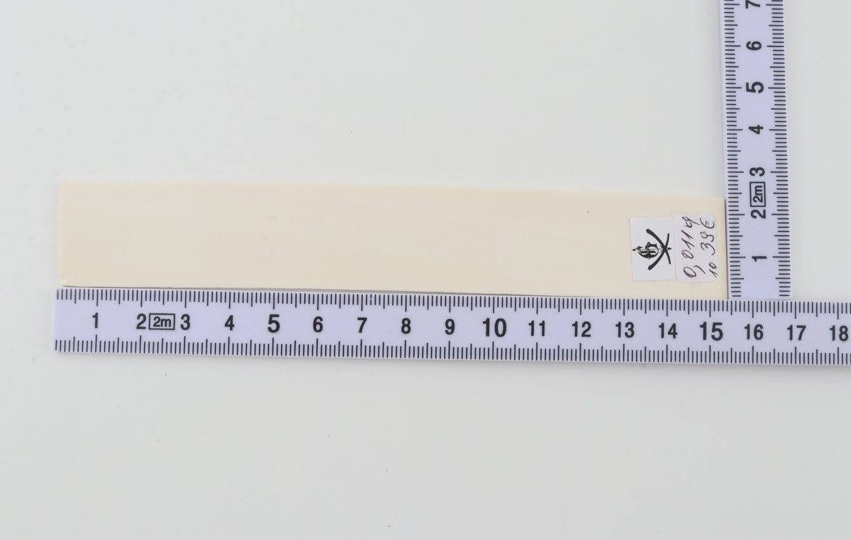 White mammoth ivory segment