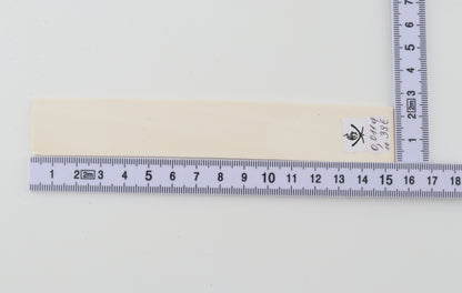 White mammoth ivory segment