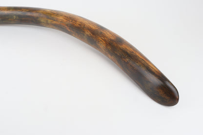 Restored woolly mammoth tusk