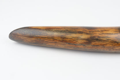 Restored woolly mammoth tusk