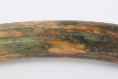 Restored woolly mammoth tusk