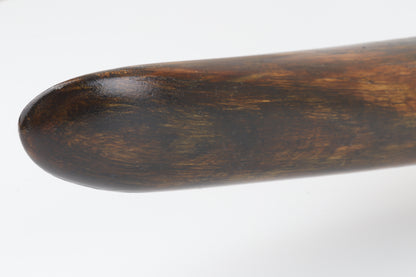 Restored woolly mammoth tusk