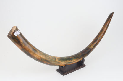 Restored woolly mammoth tusk