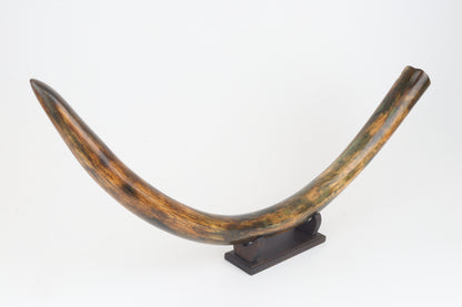 Restored woolly mammoth tusk