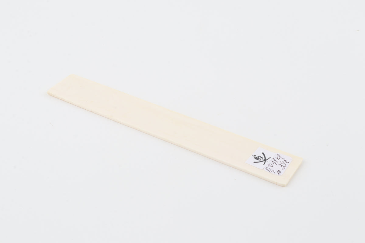 White mammoth ivory segment