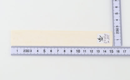 White mammoth ivory segment