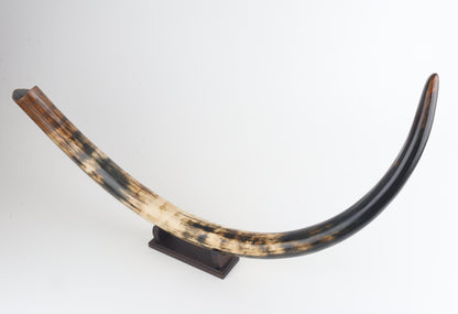 Restored woolly mammoth tusk