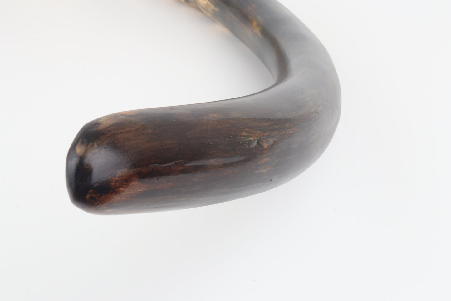 Restored woolly mammoth tusk