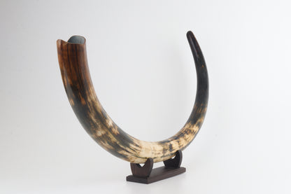 Restored woolly mammoth tusk
