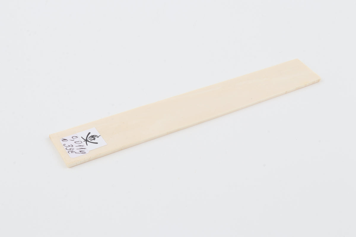 White mammoth ivory segment