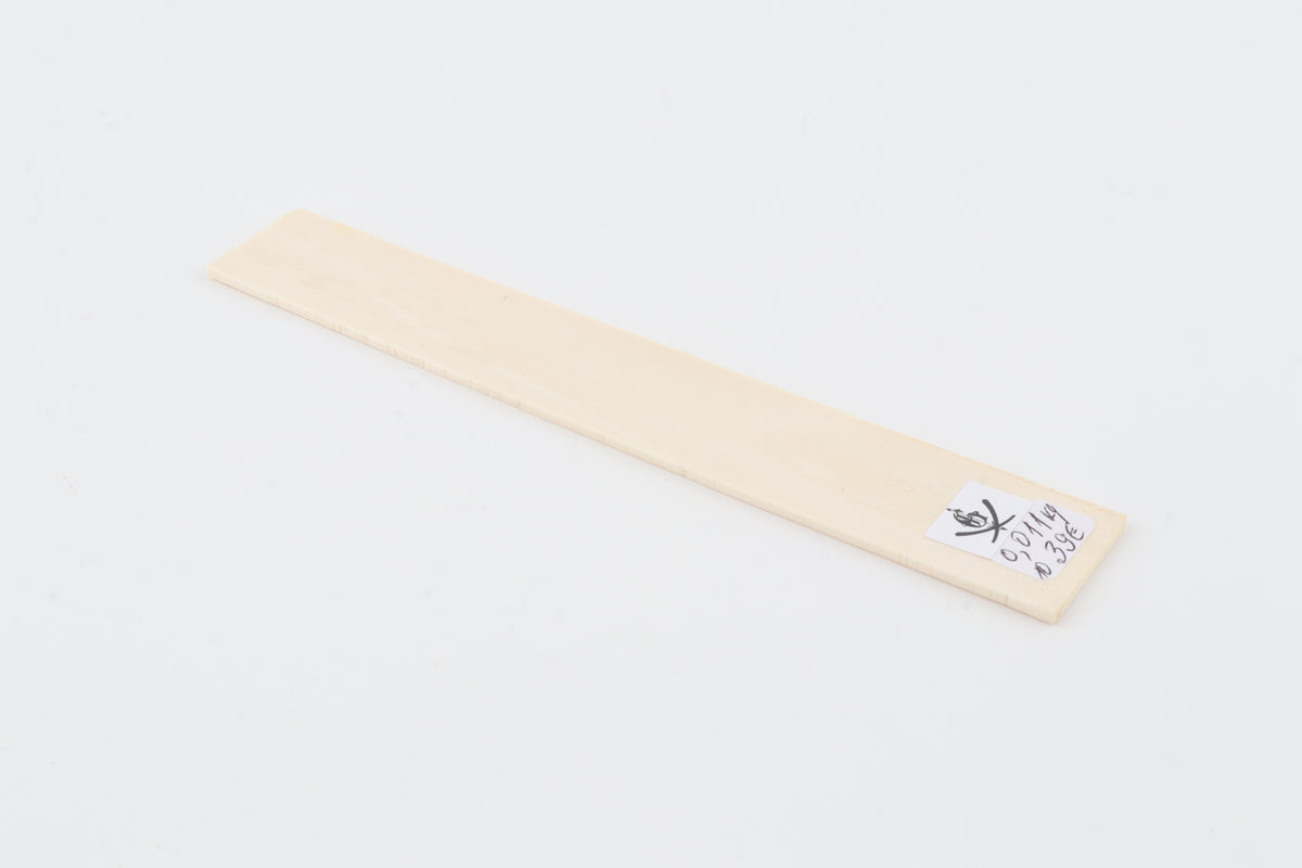White mammoth ivory segment