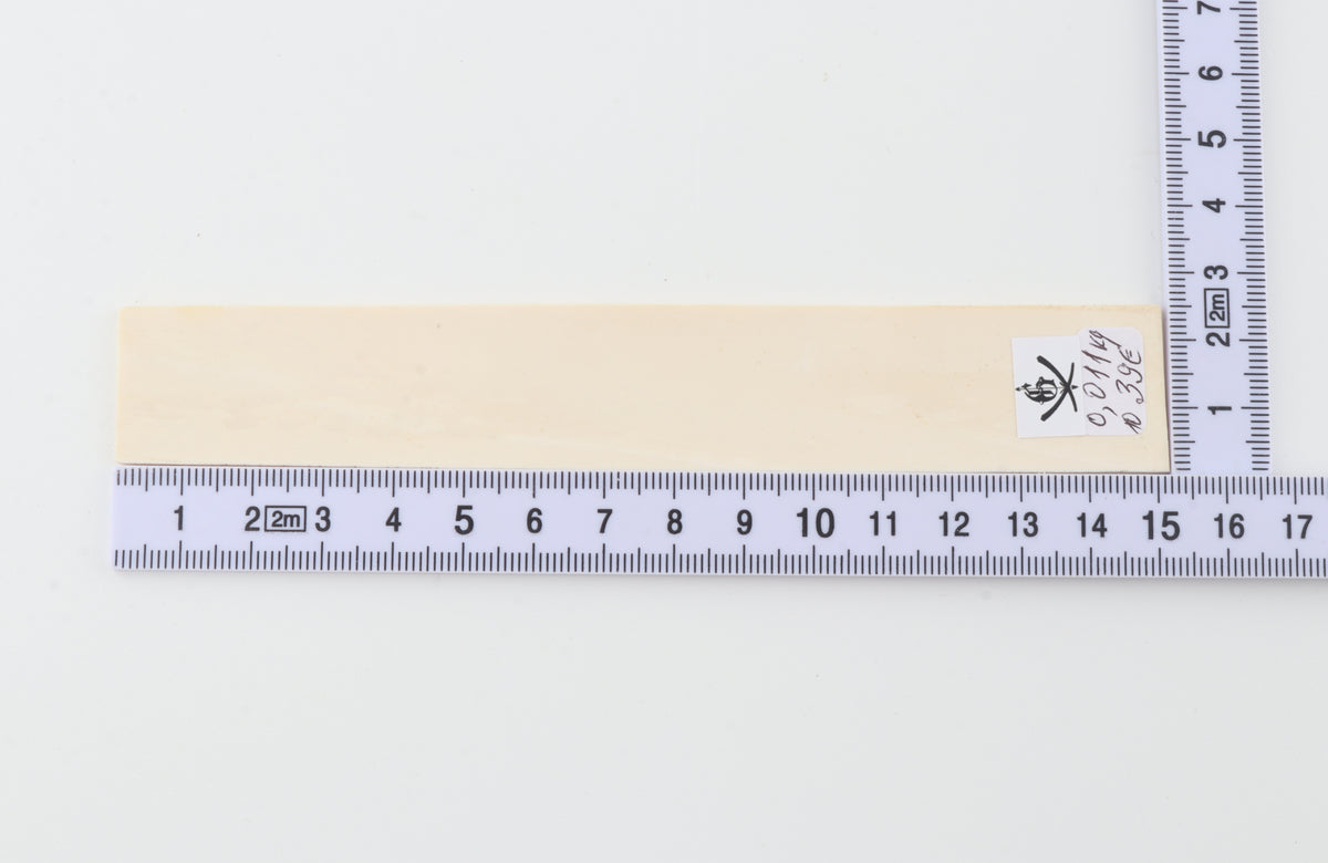 White mammoth ivory segment