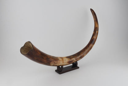 Restored woolly mammoth tusk