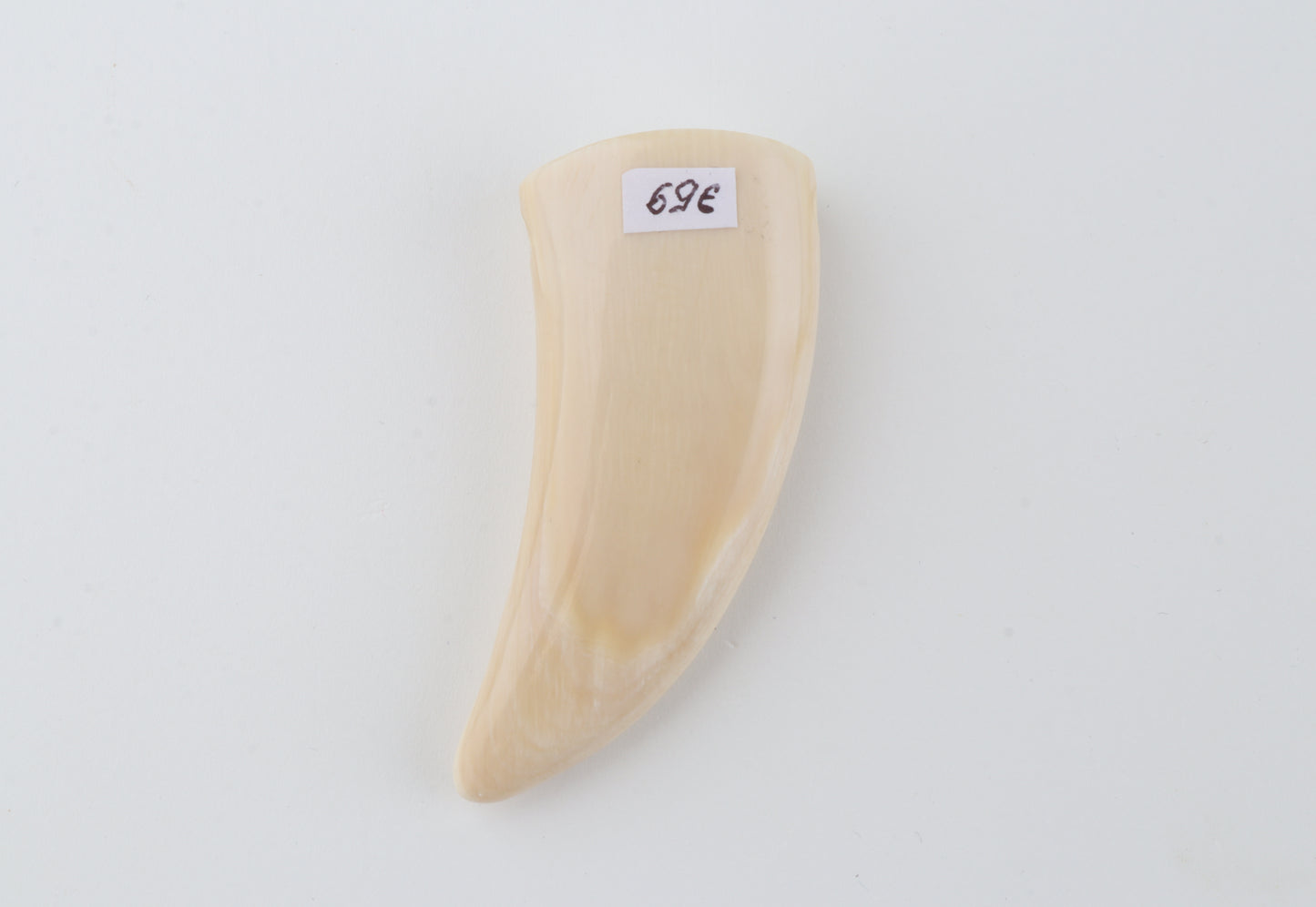 Carved mammoth ivory pendant