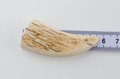 Carved mammoth ivory pendant