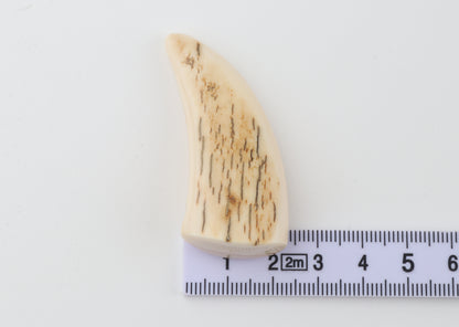 Carved mammoth ivory pendant