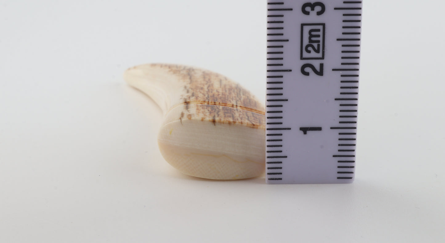 Carved mammoth ivory pendant