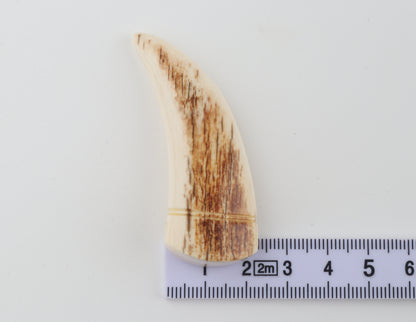 Carved mammoth ivory pendant