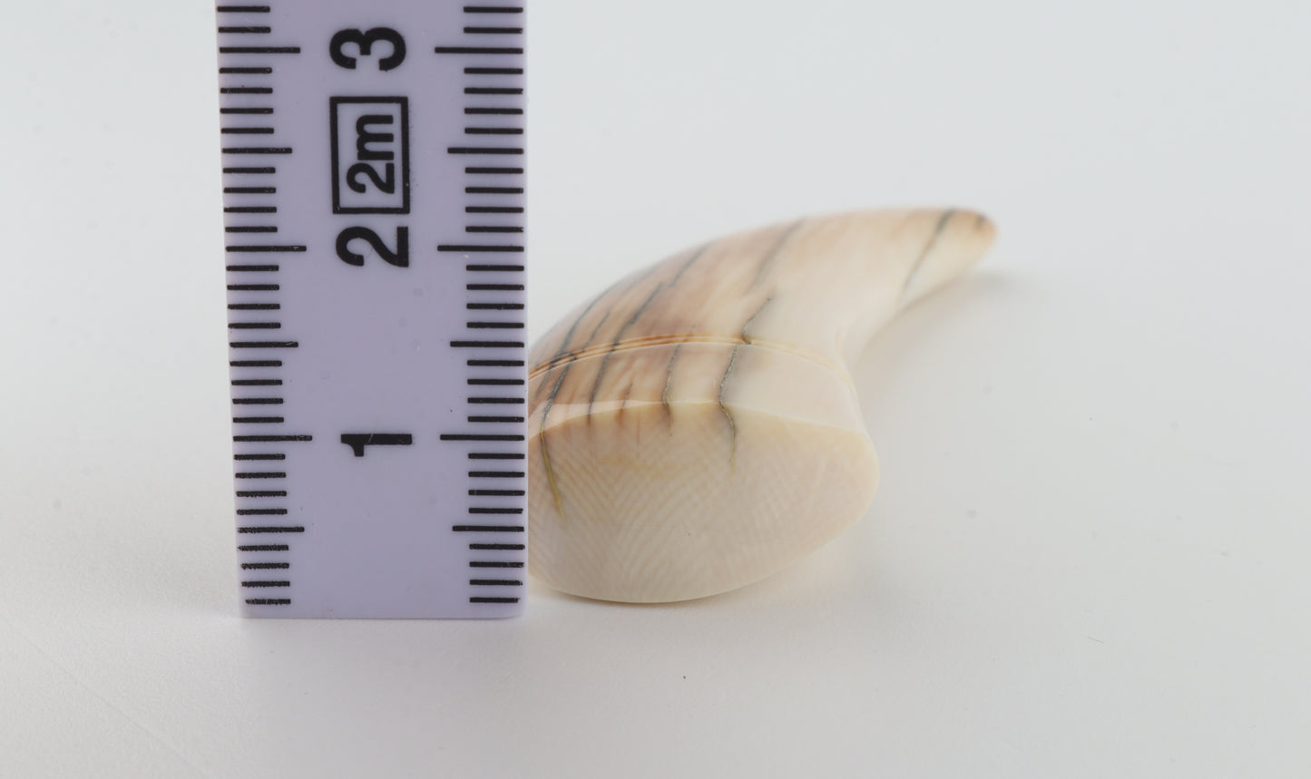 Carved mammoth ivory pendant