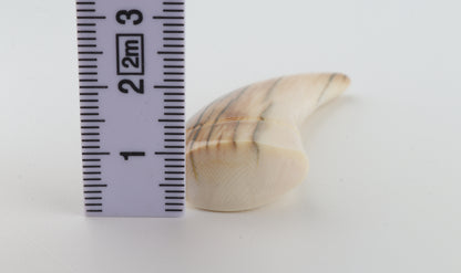 Carved mammoth ivory pendant