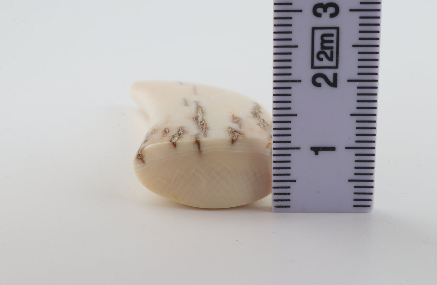 Carved mammoth ivory pendant