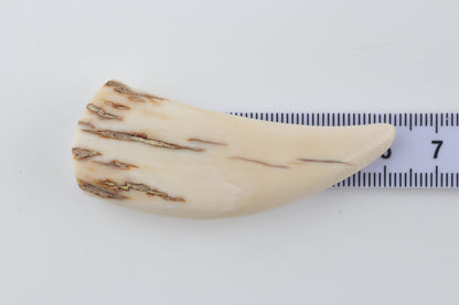 Carved mammoth ivory pendant