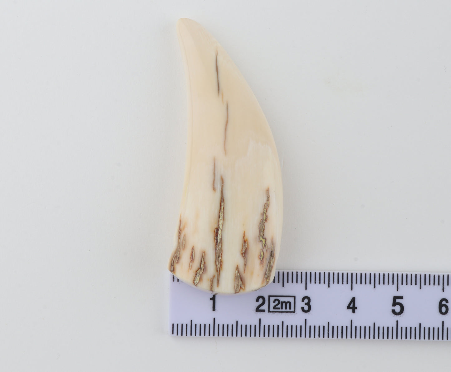 Carved mammoth ivory pendant