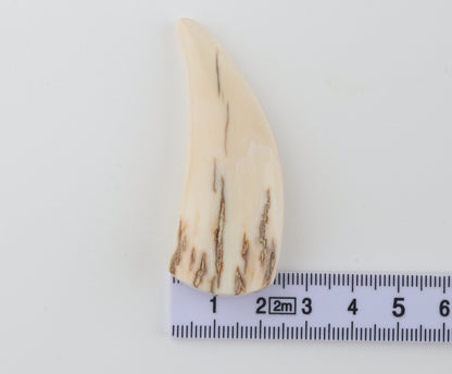 Carved mammoth ivory pendant
