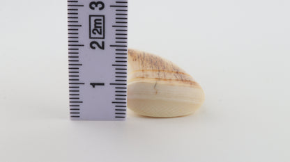 Carved mammoth ivory pendant