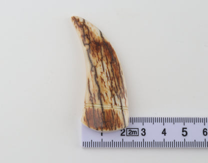 Carved mammoth ivory pendant