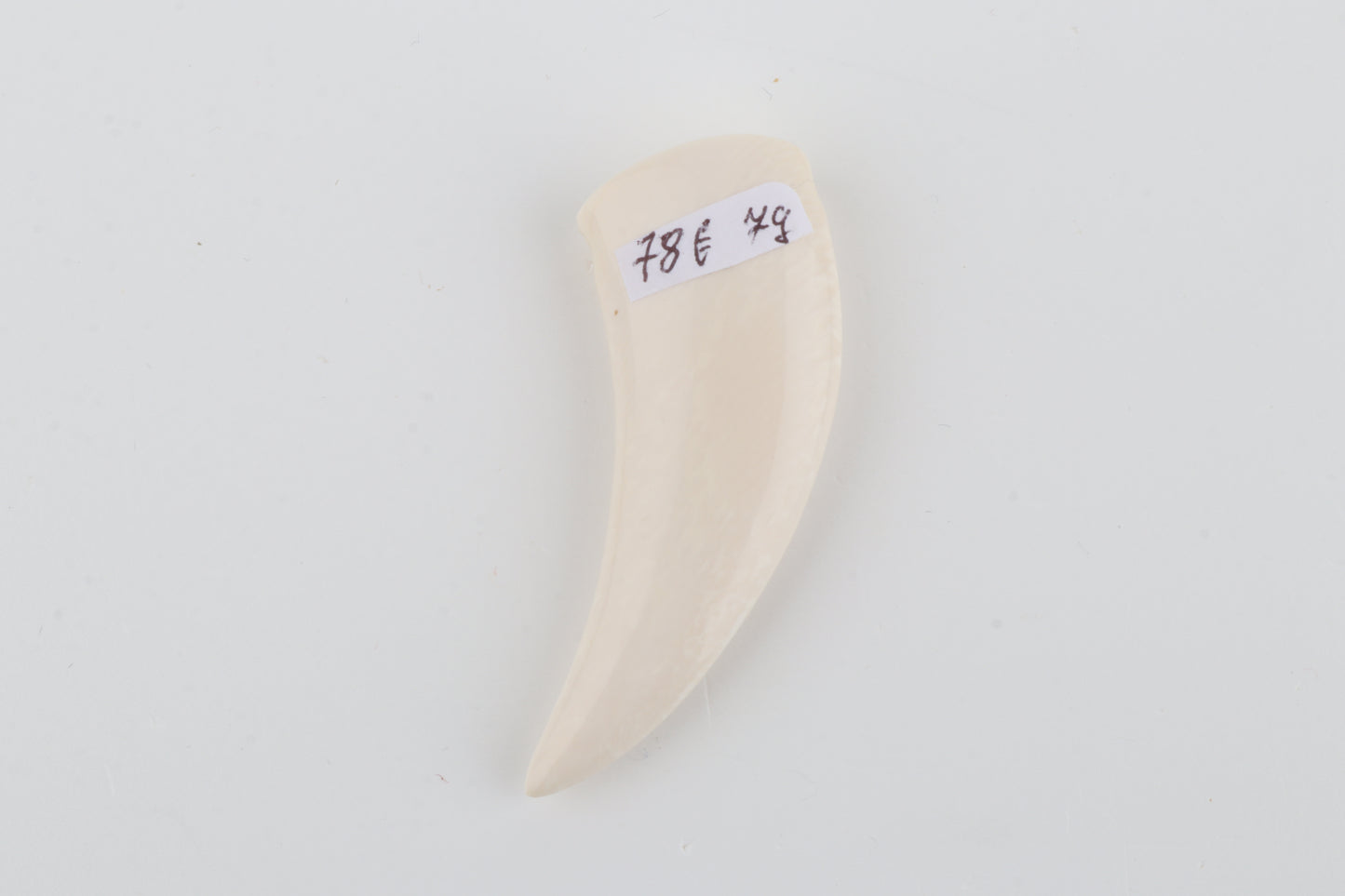 Carved Mammoth Ivory Tusk Amulet