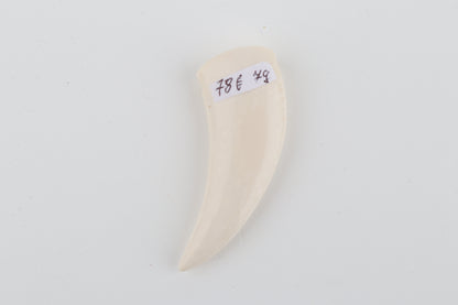 Carved Mammoth Ivory Tusk Amulet