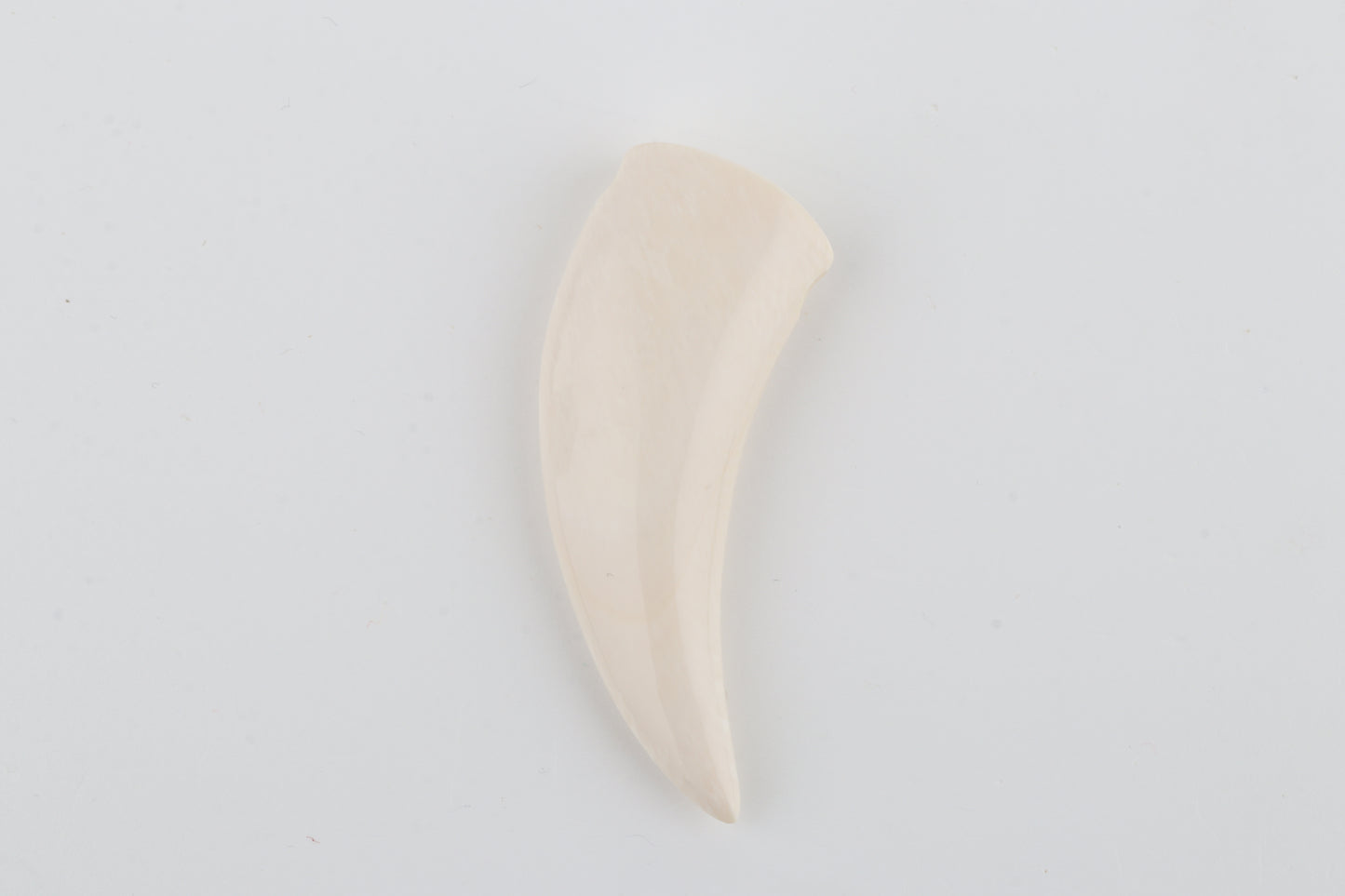 Carved Mammoth Ivory Tusk Amulet