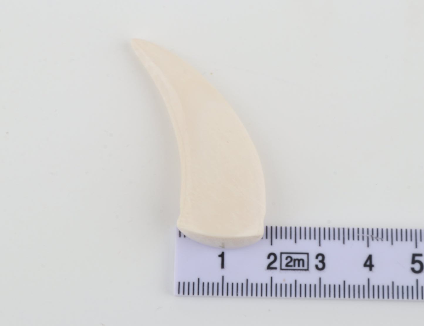 Carved Mammoth Ivory Tusk Amulet