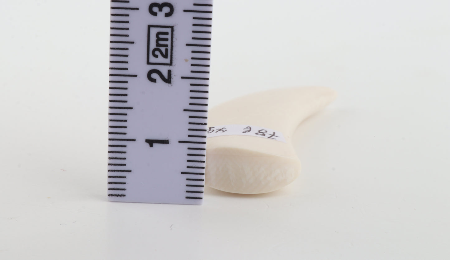 Carved Mammoth Ivory Tusk Amulet