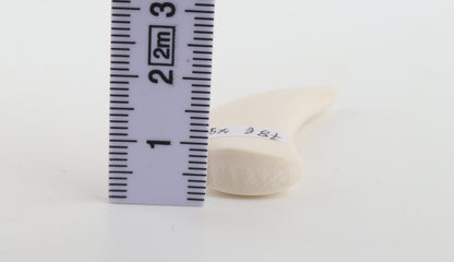 Carved Mammoth Ivory Tusk Amulet