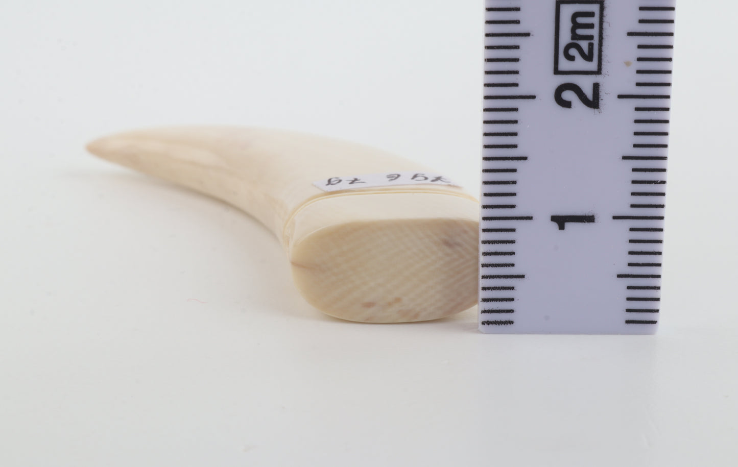 Carved Mammoth Ivory Tusk Amulet