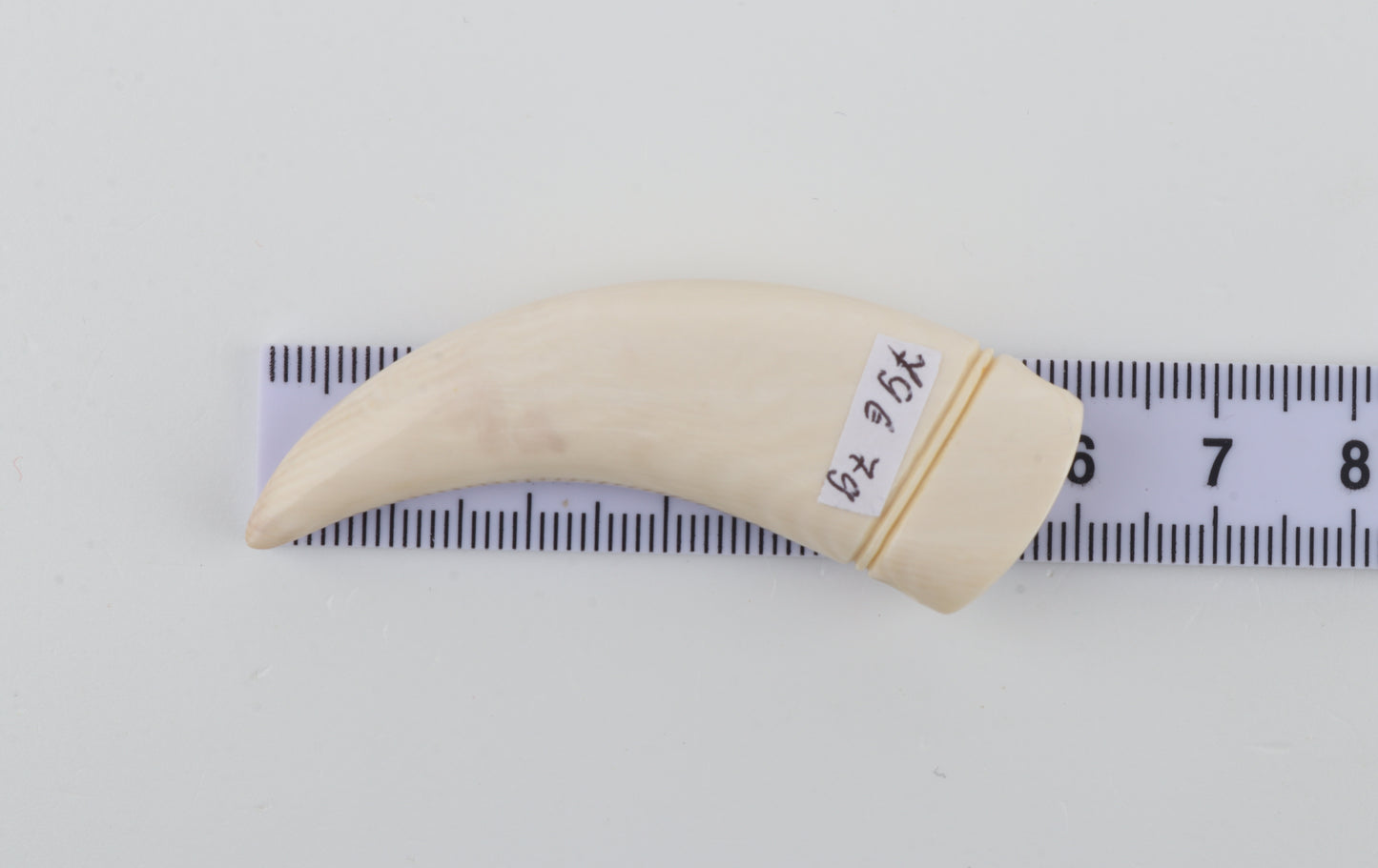 Carved Mammoth Ivory Tusk Amulet