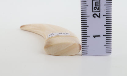 Carved Mammoth Ivory Amulet