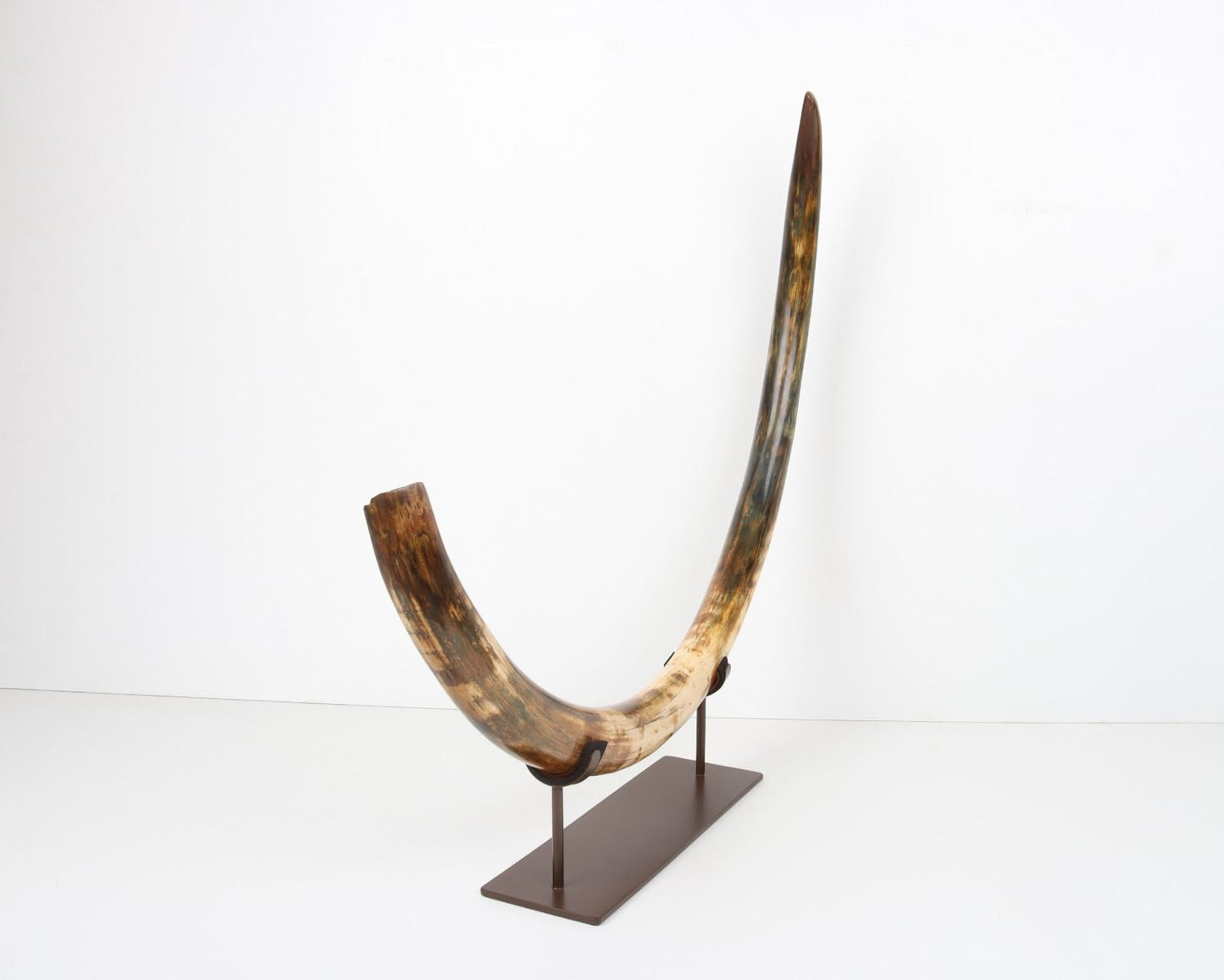 Restored woolly mammoth tusk