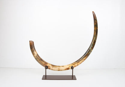 Restored woolly mammoth tusk