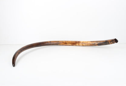 Restored woolly mammoth tusk