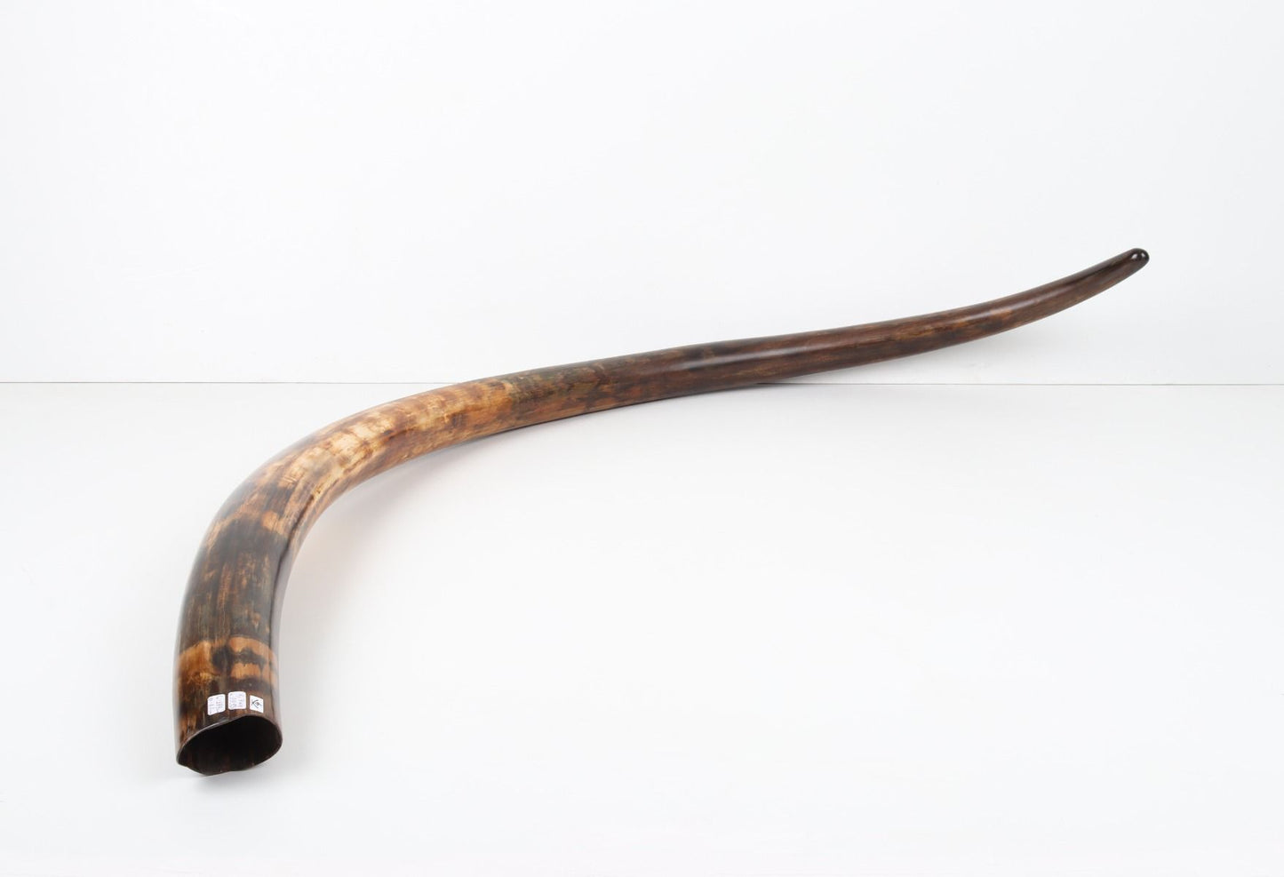 Restored woolly mammoth tusk